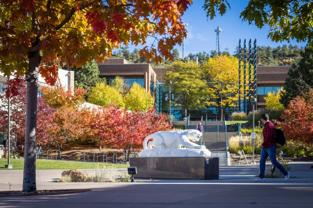 mountain lion statue